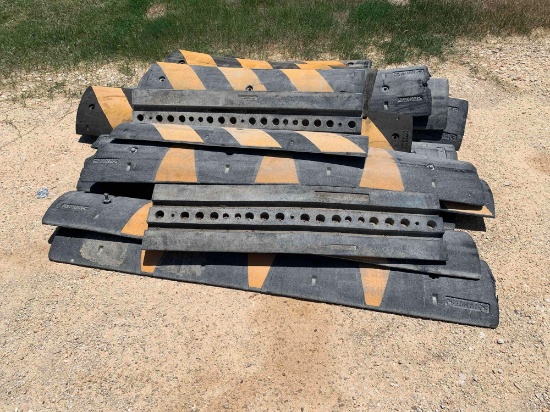 Assorted Speed Bumps