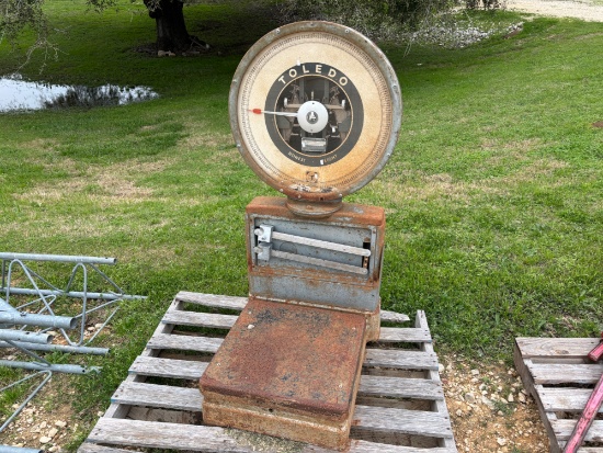 Toledo Scale