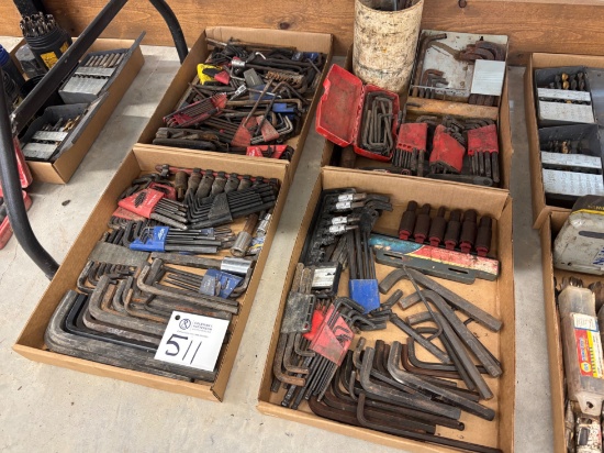 4 Box Lots - Assorted Allen Wrenches