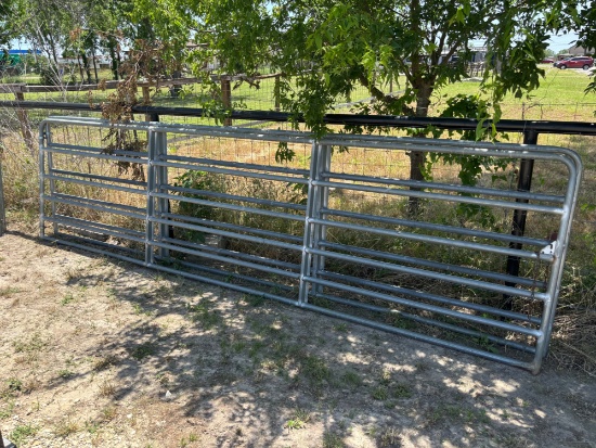(2) - 16' Cattle Gates