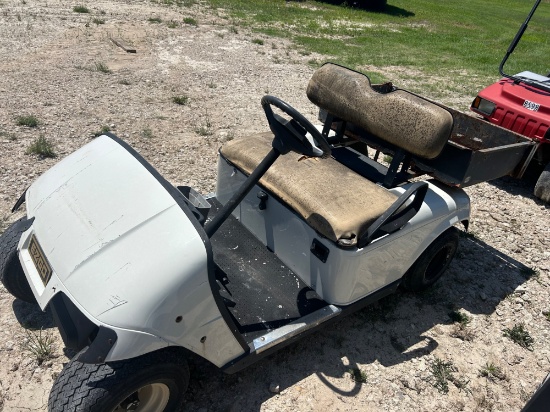 Project Golf Cart