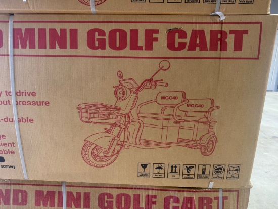 2026 IRGC40 Mini Golf Cart