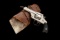 Hopkins & Allen 1901 Double Action Revolver