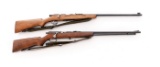 Lot of 2 Bolt Action Rifles