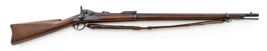 Springfield Model 1884 Trapdoor Single-Shot Rifle