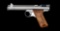 Benjamin-Sheridan Model E9 Co2 Single Shot Pellet Pistol