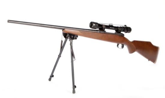 Savage Model 110 in .223 Caliber