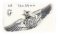 U.S. Air Force Sr. Aircrew Wings Pin - 1949