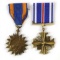 Distinguished Flying Cross & Air Crew Medal