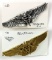 U.S. Army Air Force Flight Surgeon Wings Pins (2)