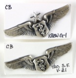 U.S. Air Force Flight Nurse Wings Pins (2)