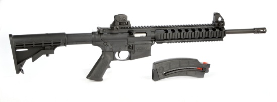 Smith & Wesson M & P 15-22 in .22 Long Rifle