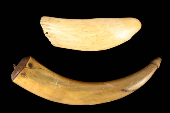 Powder Horn & Whale Tooth