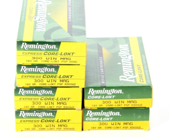 120 Rounds Remington 300 Win. Mag.