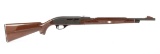 Remington Nylon 66 in .22 Long Rifle