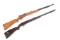 Two Semi-Auto Rifles in .22 Caliber