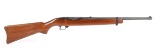 Ruger 10/22 in .22 Long Rifle