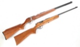 Two Bolt Action Rifles in .22 Long Rifle