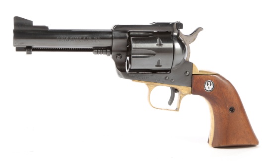 Sturm Ruger Blackhawk in .45 LC Factory Brass Frame