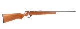 Marlin Model 100G in .22 Long Rifle