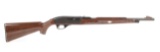 Remington Nylon 66 in .22 Long Rifle