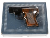 Smith & Wesson 61-3 in .22 long rifle