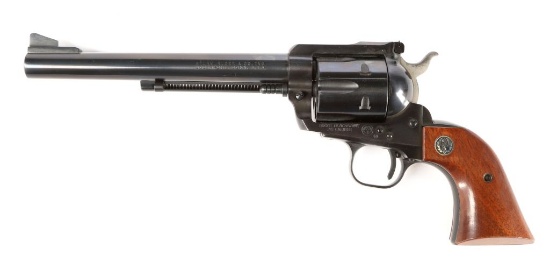 Ruger Blackhawk in .45 Long Colt