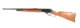 Marlin Model 1895 in .45-70 Govt.