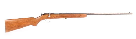 Remington 33 in .22 Long Rifle