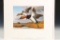 1989 Rhode Island Duck Stamp Print & Stamps