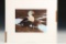 1991-1992 Federal Duck Stamp Print & Stamp