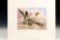 1987-1988 Waterfowl Habitat Print & Stamps