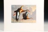 1990-1991 Federal Duck Stamp Print & Stamp
