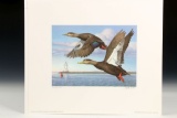 1993 Connecticut Duck Stamp Print & Stamps