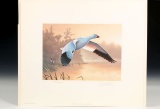 1988-89 Federal Duck Stamp Print & Stamps