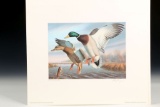 1988 Virginia Migratory Waterfowl Stamp & Print