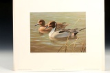 1987 Duck Stamp Print & Stamps