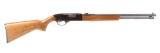 Winchester 190 in .22 Caliber