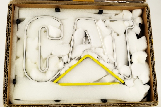 Caterpillar Neon Light