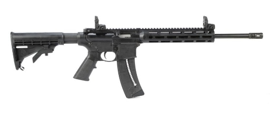 Smith & Wesson M & P 15-22 in .22 Long Rifle