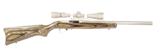 Ruger 10/22 in .22 LR