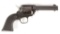 Ruger Wrangler in .22 Caliber