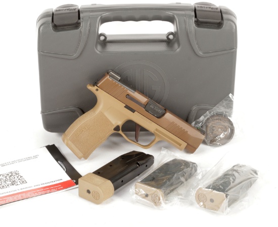 Sig Sauer Model P 365 in 9 MM