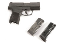 Sig Sauer P230 .32 ACP SN: S181001 | Proxibid