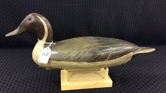 Robert Elliston Pintail Drake (8A)