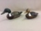 Lot of 2 Hen Mallards-Model 1st Generation-Grade