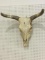 Cow Skull (Approx. 27 X 26)