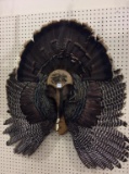 Lg. Decorative Turkey Feather (Pick Up Only)