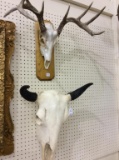 Lot of 2 Wall Hanging Skulls w/ Antlers