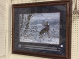 Framed, Signed & Numbered Deer Print